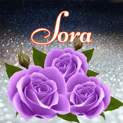 Miłego wieczoru i dobrej nocy życzę!。 