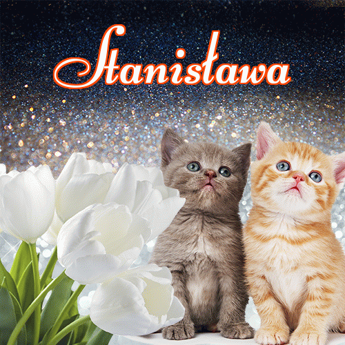 Miłego wieczoru i dobrej nocy życzę!。 