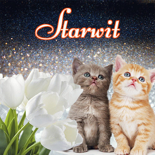 Miłego wieczoru i dobrej nocy życzę!。 