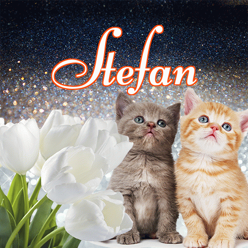 Miłego wieczoru i dobrej nocy życzę!。 