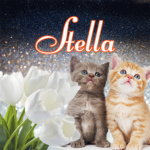 Miłego wieczoru i dobrej nocy życzę!。 