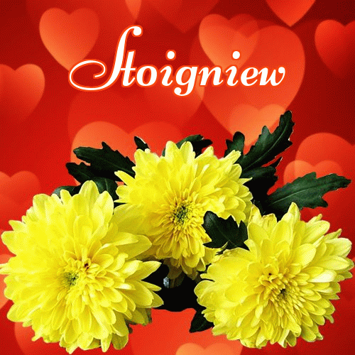 Miłego wieczoru i dobrej nocy życzę!。 