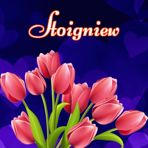 Miłego wieczoru i dobrej nocy życzę!。 