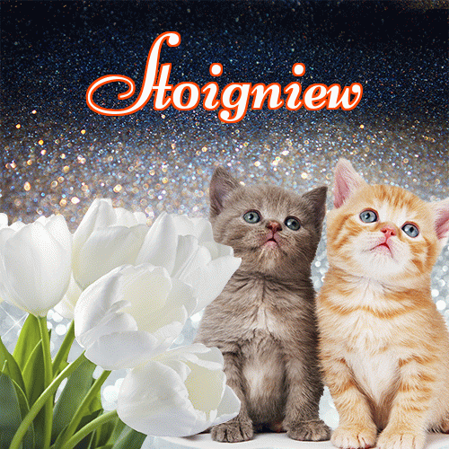 Miłego wieczoru i dobrej nocy życzę!。 