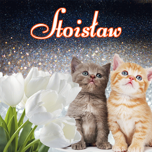 Miłego wieczoru i dobrej nocy życzę!。 