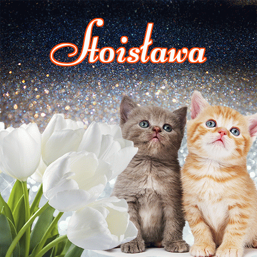 Miłego wieczoru i dobrej nocy życzę!。 