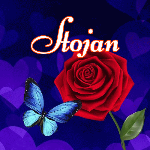 Miłego wieczoru i dobrej nocy życzę!。 