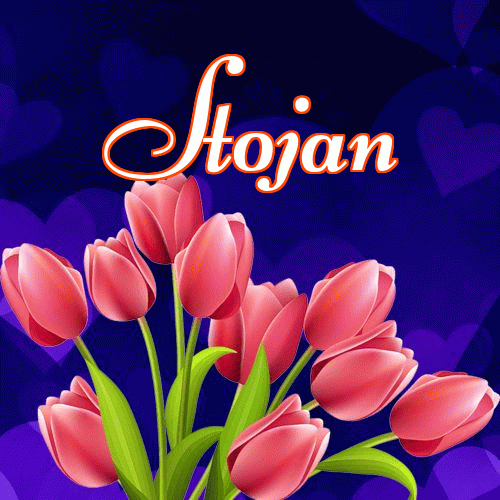 Miłego wieczoru i dobrej nocy życzę!。 