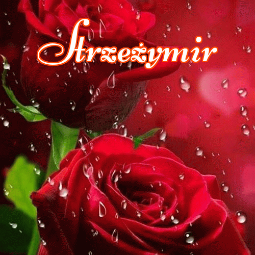 Miłego wieczoru i dobrej nocy życzę!。 