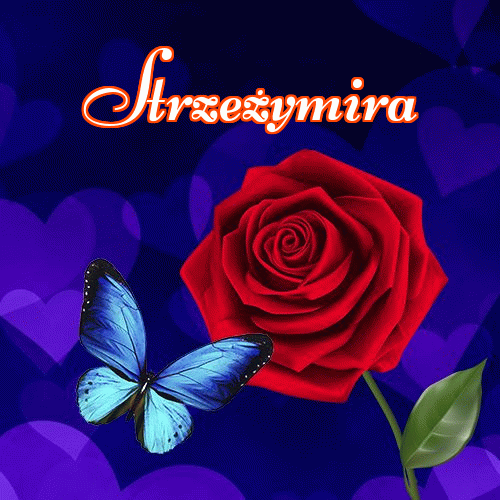 Miłego wieczoru i dobrej nocy życzę!。 