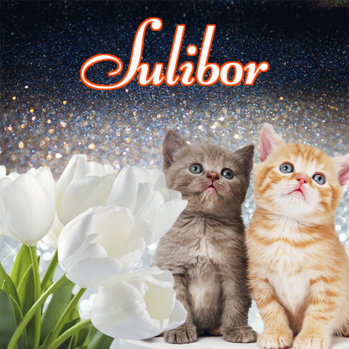 Miłego wieczoru i dobrej nocy życzę!。 