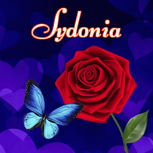 Miłego wieczoru i dobrej nocy życzę!。 