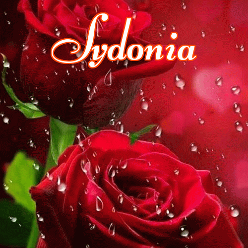 Miłego wieczoru i dobrej nocy życzę!。 