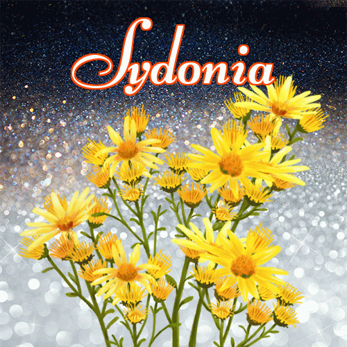 Miłego wieczoru i dobrej nocy życzę!。 