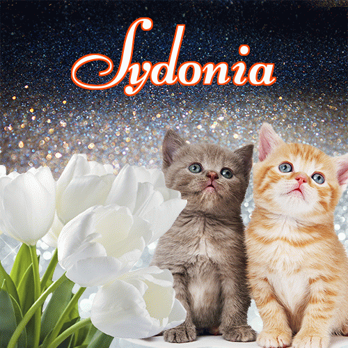 Miłego wieczoru i dobrej nocy życzę!。 