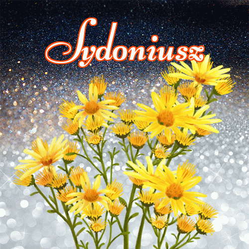 Miłego wieczoru i dobrej nocy życzę!。 