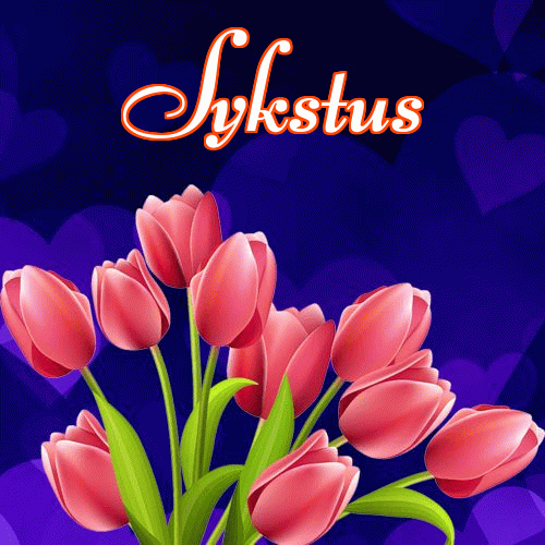 Miłego wieczoru i dobrej nocy życzę!。 