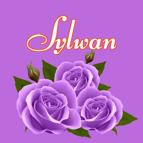 Miłego wieczoru i dobrej nocy życzę!。 