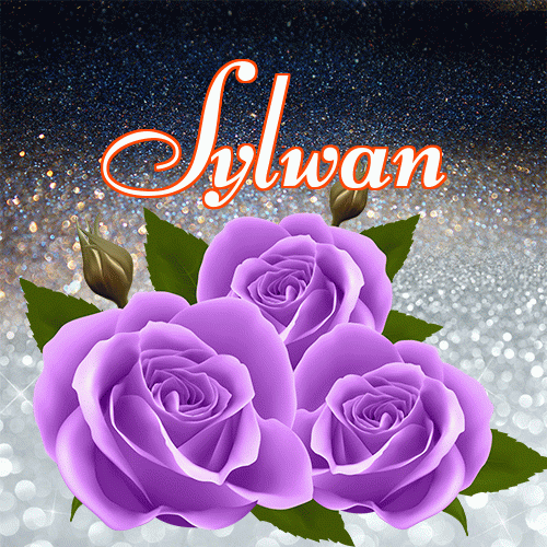 Miłego wieczoru i dobrej nocy życzę!。 