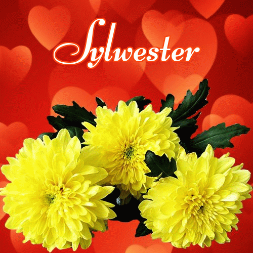 Miłego wieczoru i dobrej nocy życzę!。 