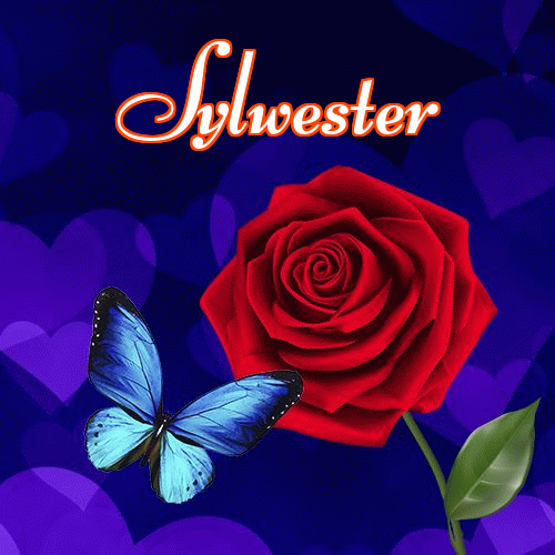 Miłego wieczoru i dobrej nocy życzę!。 