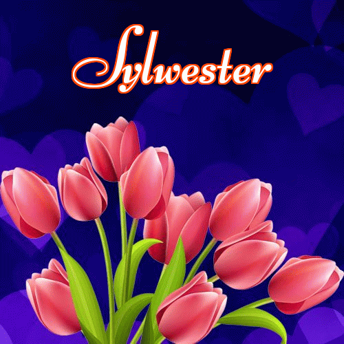 Miłego wieczoru i dobrej nocy życzę!。 