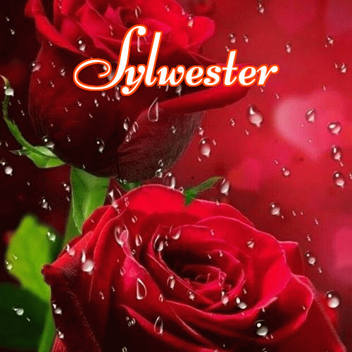 Miłego wieczoru i dobrej nocy życzę!。 