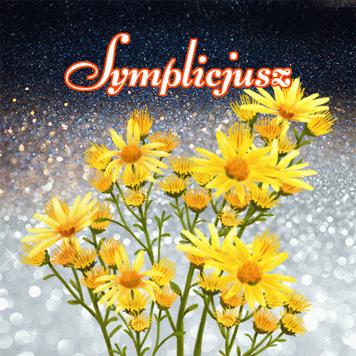 Miłego wieczoru i dobrej nocy życzę!。 