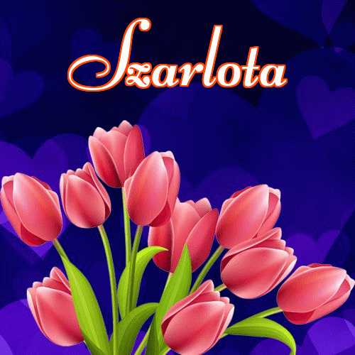 Miłego wieczoru i dobrej nocy życzę!。 