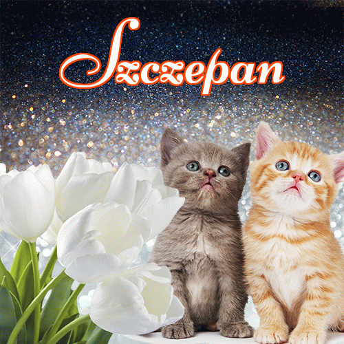 Miłego wieczoru i dobrej nocy życzę!。 