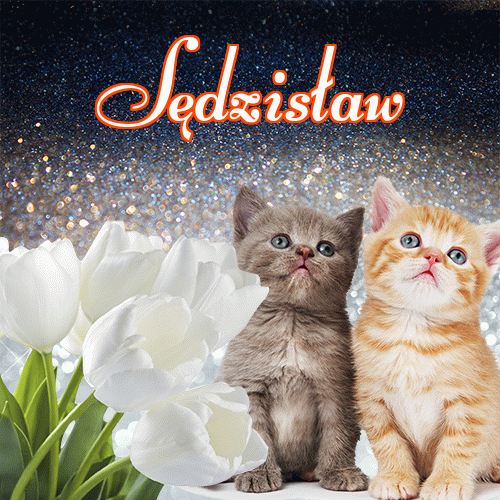 Miłego wieczoru i dobrej nocy życzę!。 