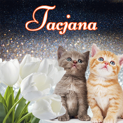 Miłego wieczoru i dobrej nocy życzę!。 