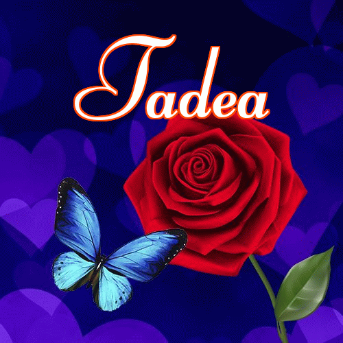 Miłego wieczoru i dobrej nocy życzę!。 