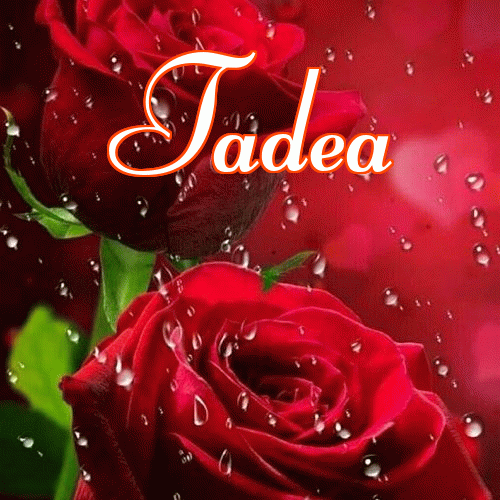 Miłego wieczoru i dobrej nocy życzę!。 