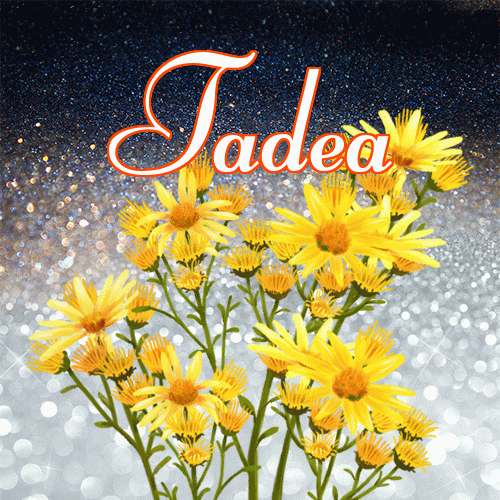 Miłego wieczoru i dobrej nocy życzę!。 