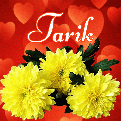 Miłego wieczoru i dobrej nocy życzę!。 