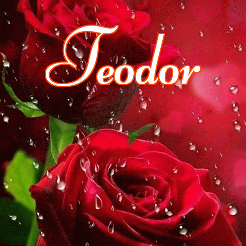 Miłego wieczoru i dobrej nocy życzę!。 