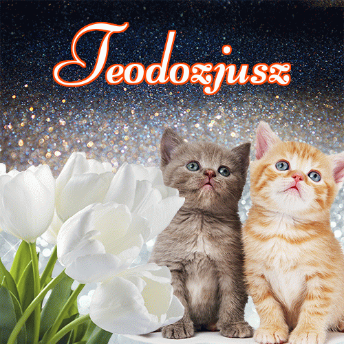 Miłego wieczoru i dobrej nocy życzę!。 