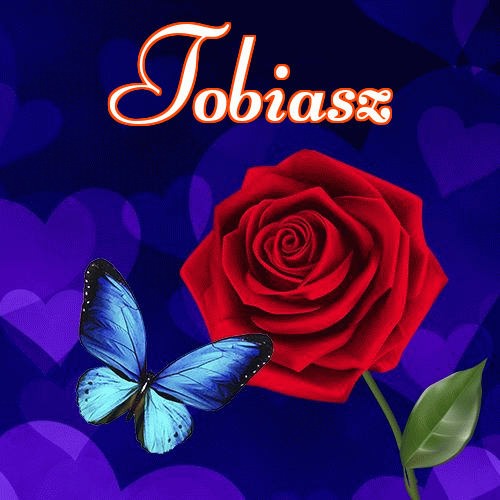 Miłego wieczoru i dobrej nocy życzę!。 