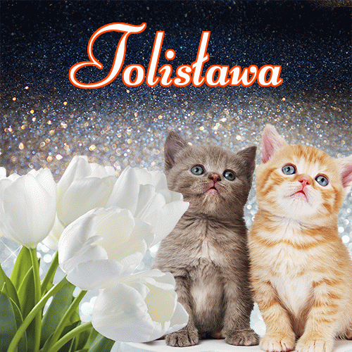 Miłego wieczoru i dobrej nocy życzę!。 