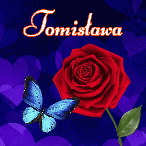 Miłego wieczoru i dobrej nocy życzę!。 