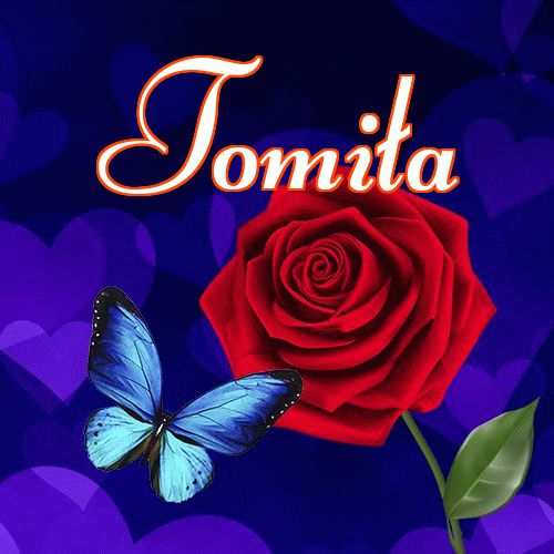 Miłego wieczoru i dobrej nocy życzę!。 