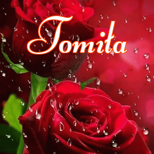 Miłego wieczoru i dobrej nocy życzę!。 