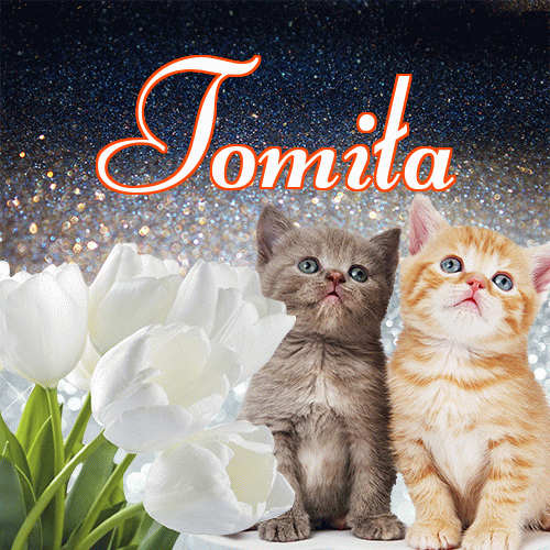 Miłego wieczoru i dobrej nocy życzę!。 