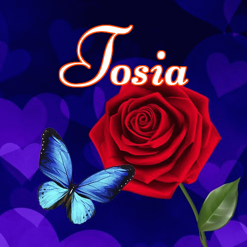 Miłego wieczoru i dobrej nocy życzę!。 