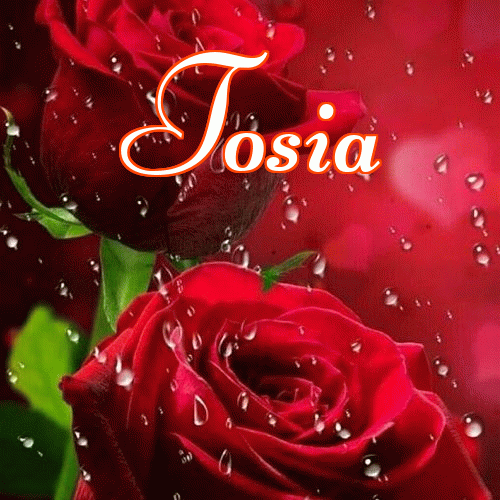 Miłego wieczoru i dobrej nocy życzę!。 