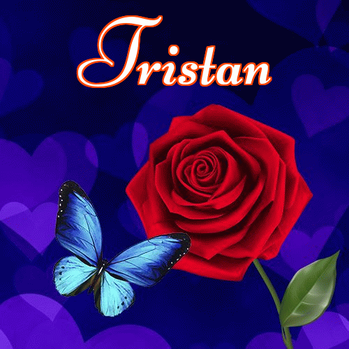 Miłego wieczoru i dobrej nocy życzę!。 