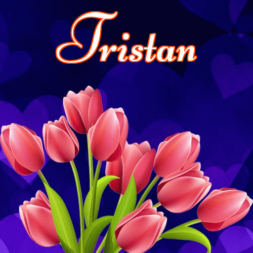 Miłego wieczoru i dobrej nocy życzę!。 