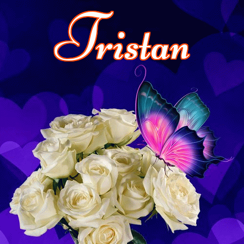 Miłego wieczoru i dobrej nocy życzę!。 