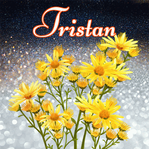 Miłego wieczoru i dobrej nocy życzę!。 